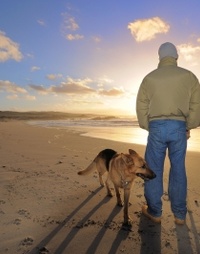 Picture for Financial Security package